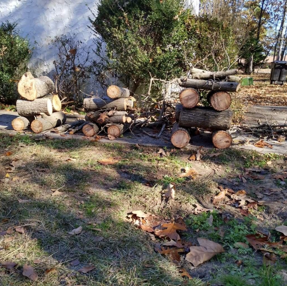 Oak Wood